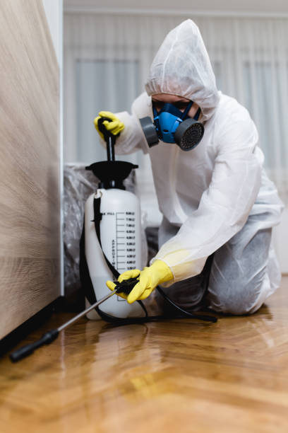 Best Pest Exclusion Services  in Braddock Hills, PA